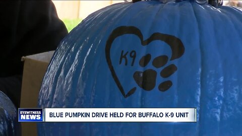 Blue pumpkin drive continues