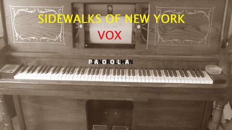 SIDEWALKS OF NEW YORK - VOX