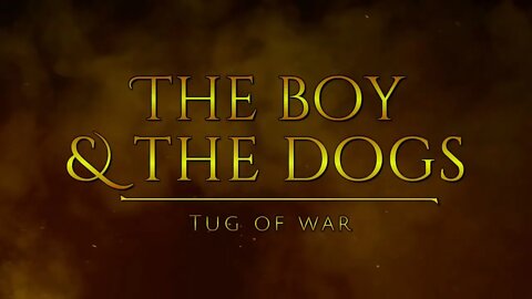 The Boy and The Dogs: Tug of War
