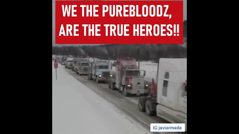 STAND TALL AND PROUD PUREBLOODZ! YOU ARE THE TRUE HEROES!