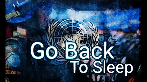 Go back to sleep the U.N. is in charge.