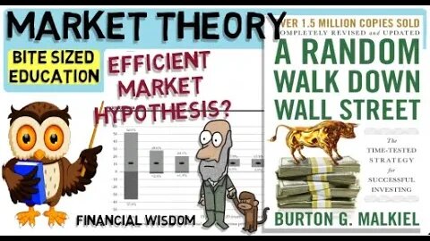A RANDOM WALK DOWN WALL STREET By Burton Malkiel (Efficient Market Hypothesis)