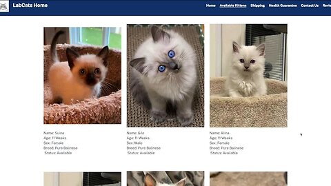 Highlands Ranch man scammed out of $1,180 by Balinese cat breeder