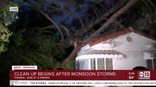 Large tree collapses on Phoenix home during monsoon storm