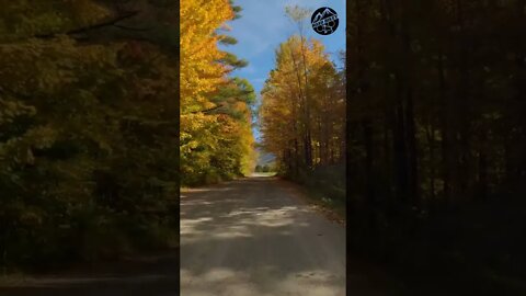 Fall Foliage right now 2022 in New Hampshire White Mountains, New England Scenic Bike Ride #shorts