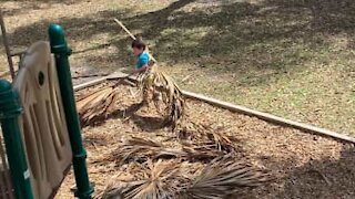 Pobre menino cai enquanto limpa parque infantil nos EUA