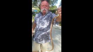 Dad snake catching