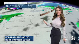 Cool with Drizzle and Fog