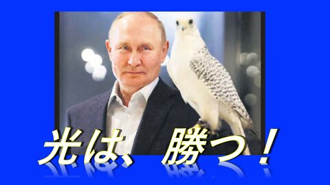 プーチンと鷹。意味深メッセージ。（希望が持てます）