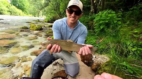 Fly fishing Slovenia. One cast.. One marble trout SLO-FLY.COM style. 💥🎣