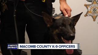 Macomb County gets three new K-9 officers