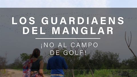 Los Guardianes del Manglar