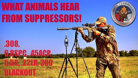 WHAT ANIMALS HEAR FROM SUPPRESED RIFLES PART II