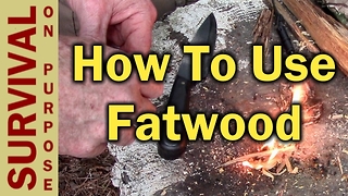 How to use fatwood: Nature's fire-starter