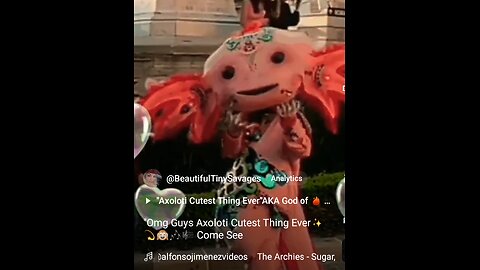 "Axoloti Cutest Thing Ever AKA God of 🔥 & ⚡ In Nahuatl Aztec Come See 🎼🎶