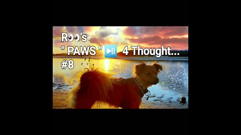 ' PAWs ' ⏯ 4 Thought...