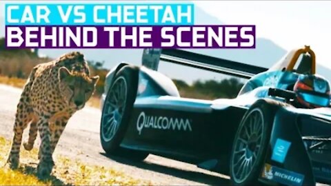 Will this tiger 🐯really be able to defeat Formula E🏁, see how he did it😲😲