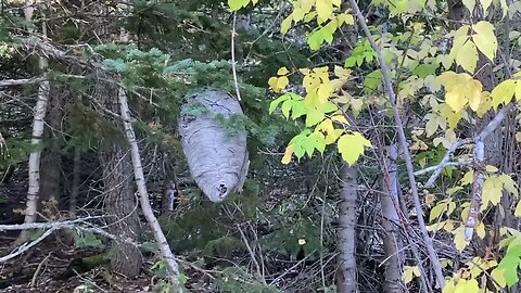 Trail Treasures: Nature In Real Life