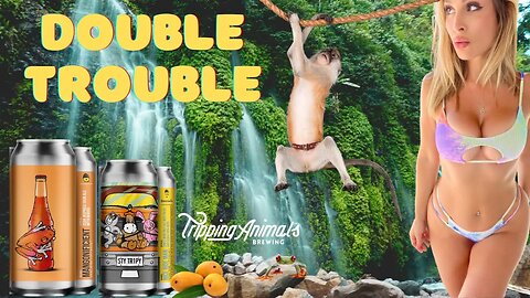 Tripping Animals Mangonificient Sour & Nice Ride Man Triple IPA Craft Beer Review with @AllieRae