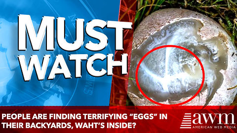 People Are Finding Terrifying “Eggs” in Their Backyards