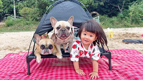 Our Dogs And Baby Go For A Picnic On A Deserted Island **With A Surprise