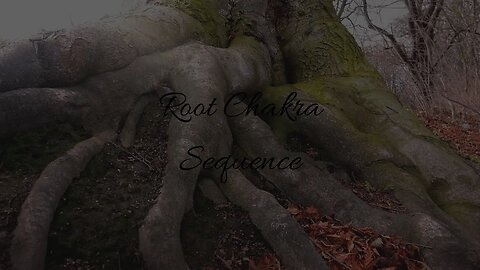 Root Chakra Yoga Flow