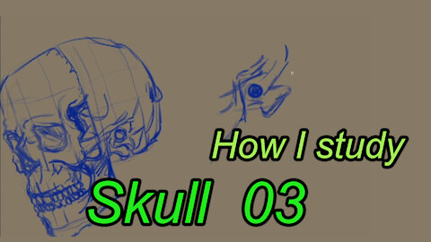 Anatomy Skull Study 03 - How I Study