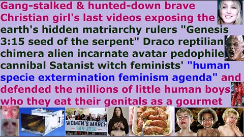 Part 5 Anti-feminist who was thrown out of Internet & hunted by pedophile cannibal Satanist witches