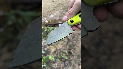 Day Glow sure is an attention grabber especially the 2023 US Tanto | Shed Knives #shedknives #shorts