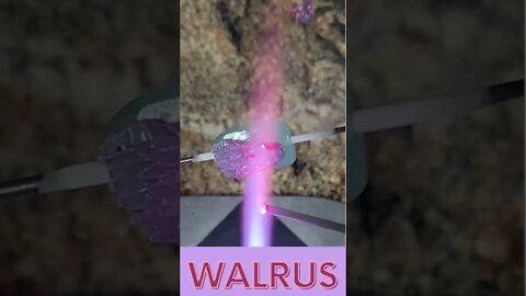 Lampwork Glass Beads: Walrus