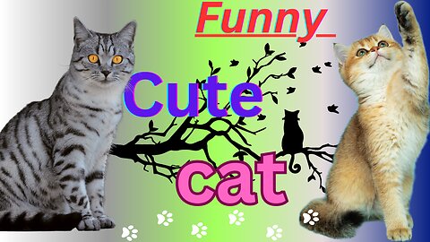 new funny animals 2023 funniest cat video 😻👶😹