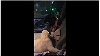 Dad surprises daughters with Christmas puppy