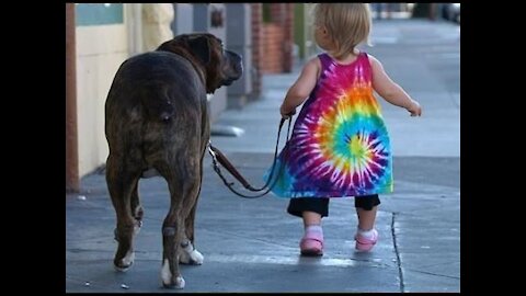 Niños paseando Perros Vídeo muy chistoso