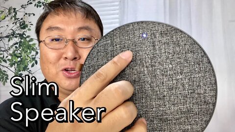 Slim Bookshelf Bluetooth Fashion Speaker Review
