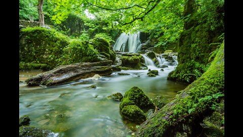 2 Hours of Forest Sounds Relaxing Ambience for Studying, Working, Sleeping, Meditating, Concentrate