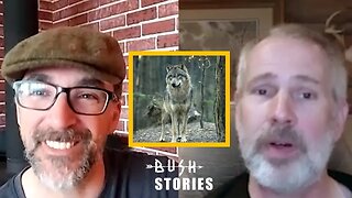 Confronting Wolves While Bow Hunting Moose | My Self Reliance (Shawn James) | Bush Stories