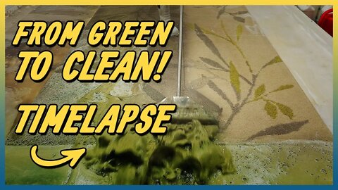 Washing Shrek's Rug | 5 Minute Time lapse | Satisfying Video