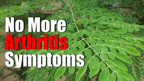 No More Arthritis Symptoms | My Moringa Story