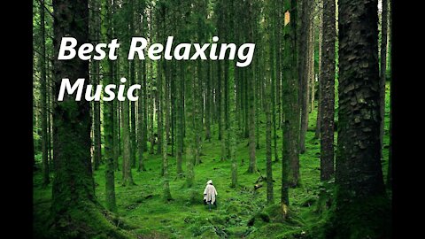 Best Relaxing Sleep Music • Deep Sleeping Music, Relaxing Music, Stress Relief, Meditation Music