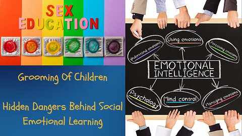 Part 2|Hidden Dangers Behind Social Emotional Learning