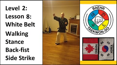 Baehr Taekwondo: 02-08: Yellow Stripe: Walking Stance - Back-fist Side Strike
