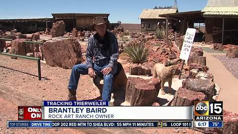 Ancient Anasazi art on display at 'Rock Art Ranch' near Winslow, Arizona