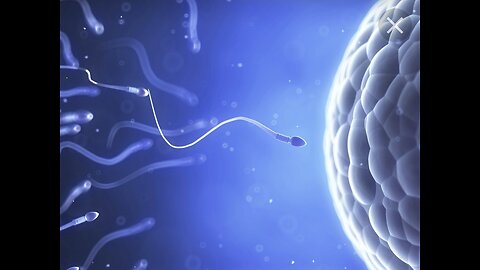 THE WAR ON SPERM AND FRUITILITY #FUCKtheJAB