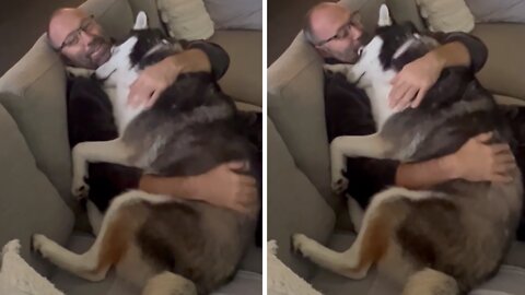 Clingy Husky Just Wants Her Dad's Cuddles