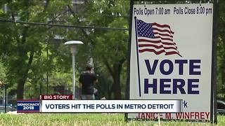 Voters hit the polls in metro Detroit for Michigan primary