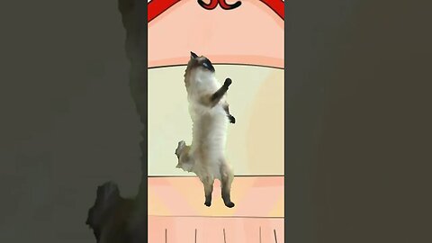 Kucing joged Ajojing ala ala Ajojing #fypシ #cartoon #fypシ゚viral #kucinglucu