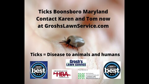 Ticks Boonsboro Maryland Lyme Disease Lawn Care Service