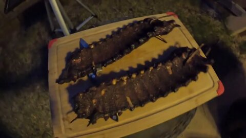 Baby Back Ribs Cooked On The Pit Barrel Cooker