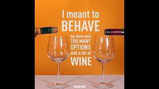 I meant to behave but there was wine [GMG Originals]