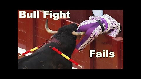 Best funny videos Most awesome bullfighting festival/ funny crazy bull fails